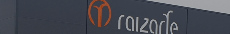 Raizarte Website